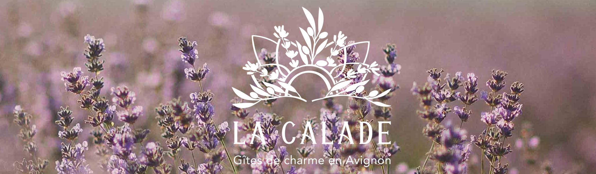 bandeau-lacalade-ecriture